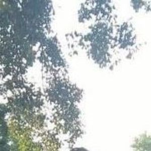 Meet your Posher, Samuel